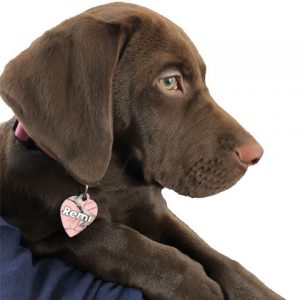 Dog Tag